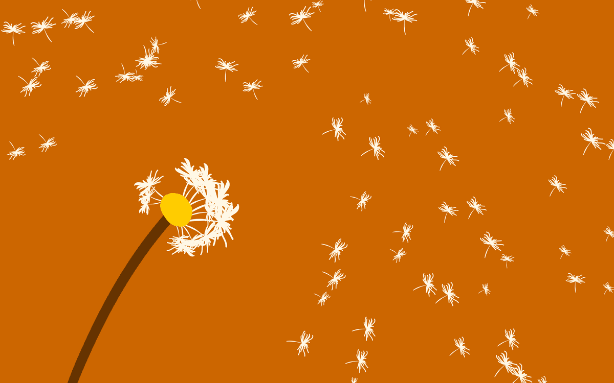 Pusteblume